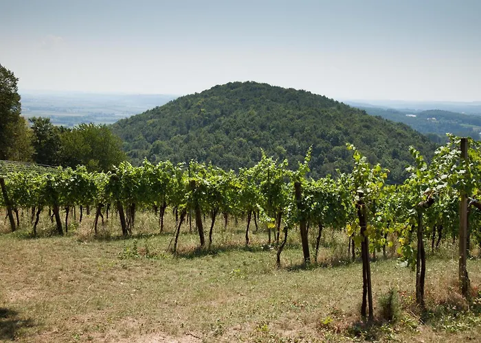Andersort Haus Der Frauen * Buchberg bei Herberstein