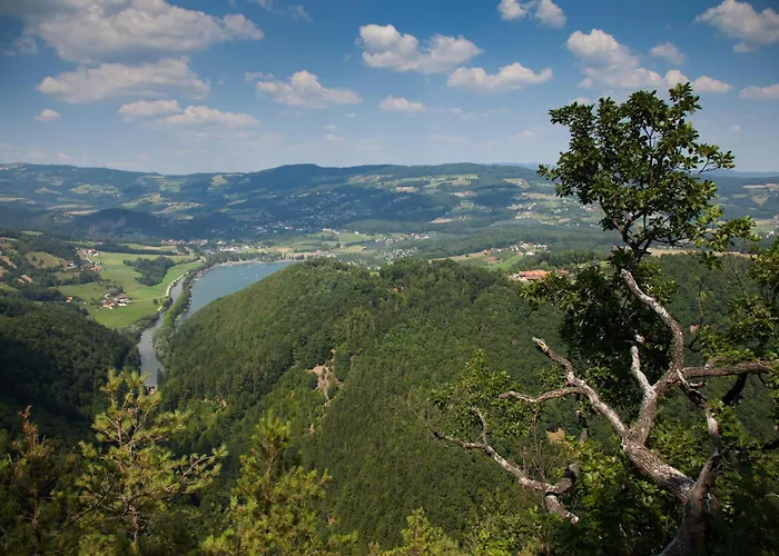 Andersort Haus Der Frauen Buchberg bei Herberstein