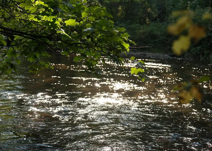 Andersort Haus Der Frauen 住宿加早餐酒店 Buchberg bei Herberstein